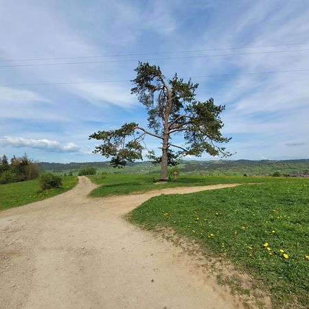 Pokoje U Julki Bukowina Tatrzanska Bagian luar foto