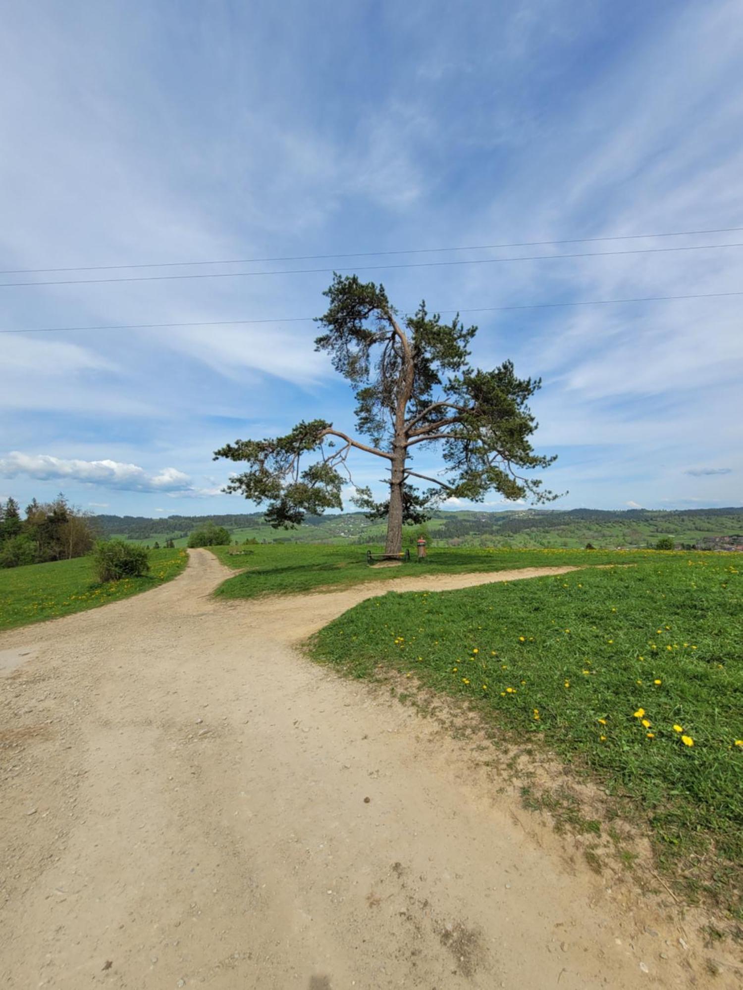 Pokoje U Julki Bukowina Tatrzanska Bagian luar foto